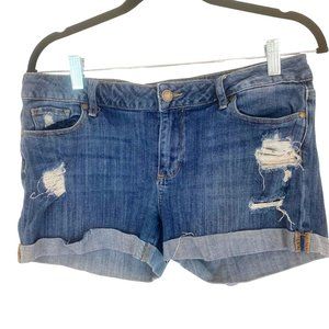 PAIGE Jean Shorts Distressed Size 29